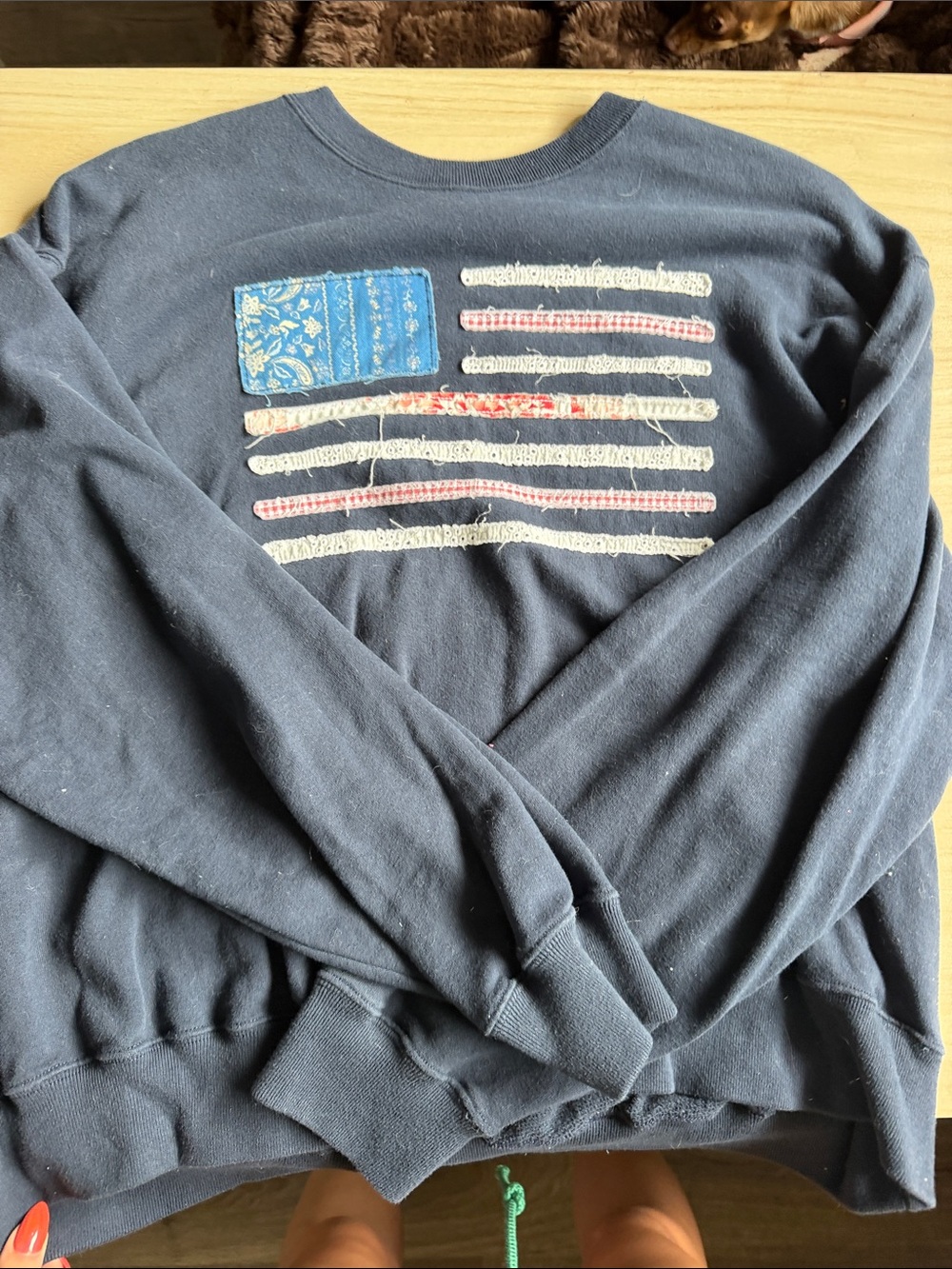 Hollister Navy Crewneck Sweatshirt with Flag Appliqué